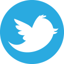 twitter icon